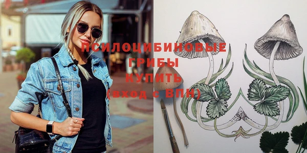 молекула духа Кулебаки
