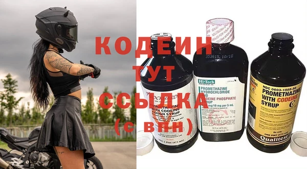 молекула духа Кулебаки