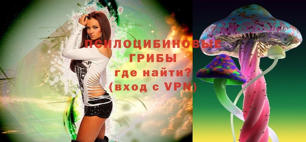 МДПВ Надым