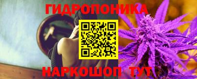 индика Коммунар