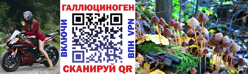Галлюциногенные грибы Psilocybine cubensis  Тейково 