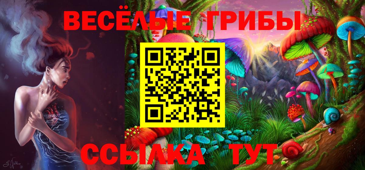 Псилоцибиновые грибы мицелий Тейково