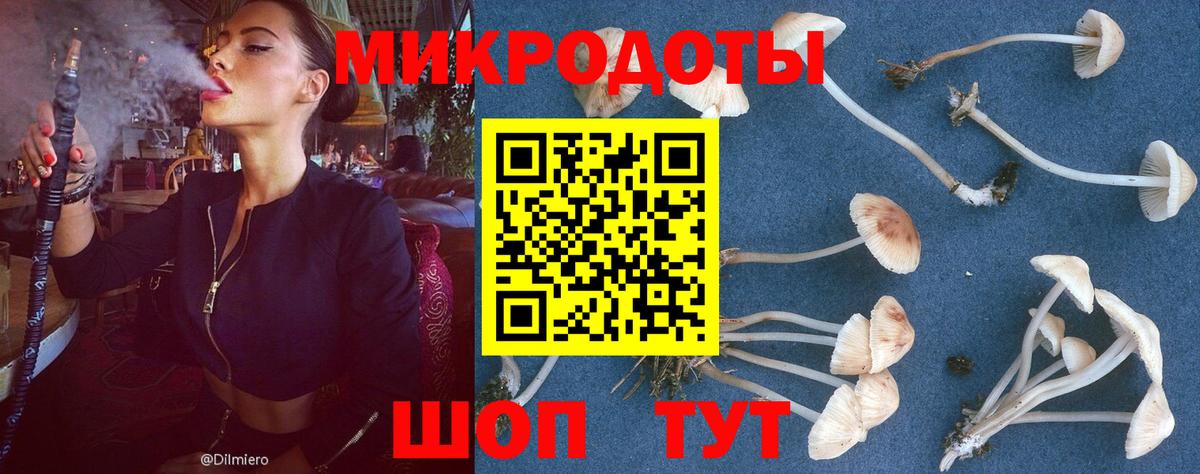 Псилоцибиновые грибы прущие грибы  Галлюциногенные грибы MAGIC MUSHROOMS  Вход с VPN  купить наркоту  Тейково 