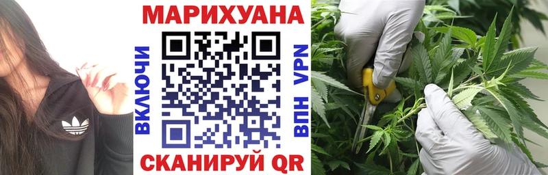 Бошки Шишки ГИДРОПОН  Тейково 