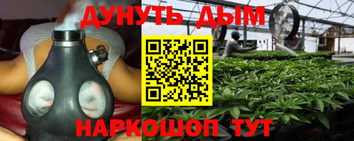 Бошки Шишки план Тейково